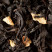 BLACK TEA - NOIR EXOTIC