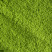 Tea from Japan - MATCHA MINAMI YAMASHIRO - BOX OF 20 G