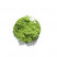 Tea from Japan - MATCHA MINAMI YAMASHIRO - BOX OF 20 G