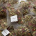 Herbal tea - Tisane Nuit à Versailles, box of 24 enveloped Cristal® sachets