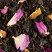 7 Parfums N°17, boîte de 100 g