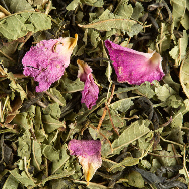 Green tea - Pêche verveine