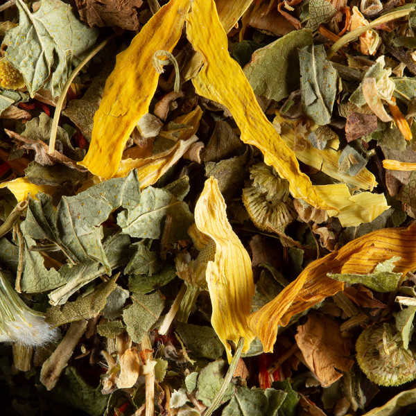 TISANE FRUITS EXOTIQUES