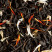 Black tea - MY PANETTONE