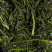 TEA FROM JAPAN - SENCHA FUKAMUSHICHA CHIRAN