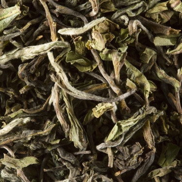 Tea from India - Darjeeling 1st flush 2021 PHUGURI F.T.G.F.O.P.
