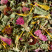 Herbal tea - TISANE NUIT À VERSAILLES
