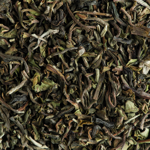 Tea from India - Darjeeling Phuguri 2nd flush T.G.F.O.P.