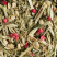 Herbal tea - CEREAL LOVER FRAMBOISE