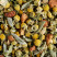 Tisane - CAMOMILLE SAUGE