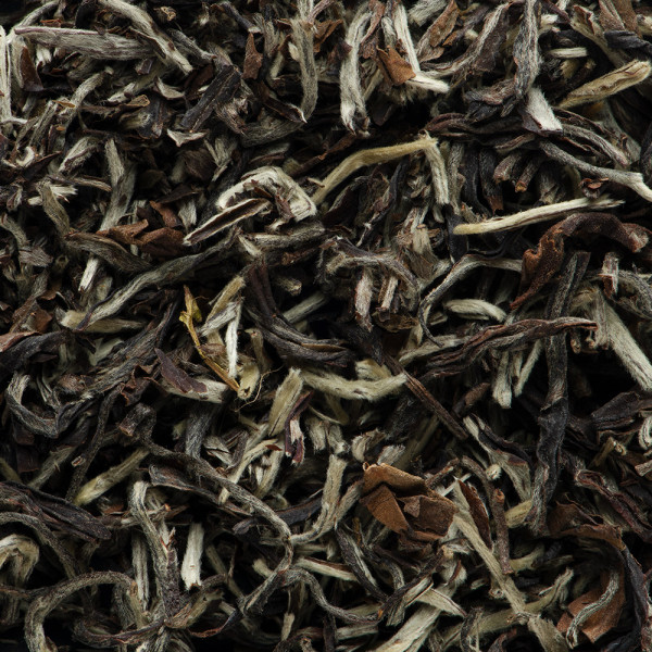 Tea from India - SINGBULLI DARJEELING 2nd flush T.G.F.O.P.