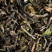 Thé d'Inde - Darjeeling 1st flush PHUGURI F.T.G.F.O.P.