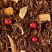 Rooibos de Noël, box of 25 Cristal® sachets
