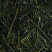 Tea from Japan - Shincha Shizu 7132 - box of 50g