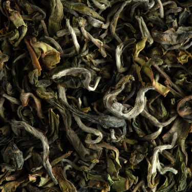 Thé d'Inde - Darjeeling 1st flush Phuguri 2023 Grand Cru